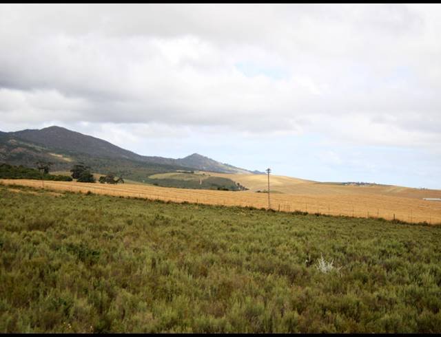 69HA FARM FOR SALE IN BOT RIVER